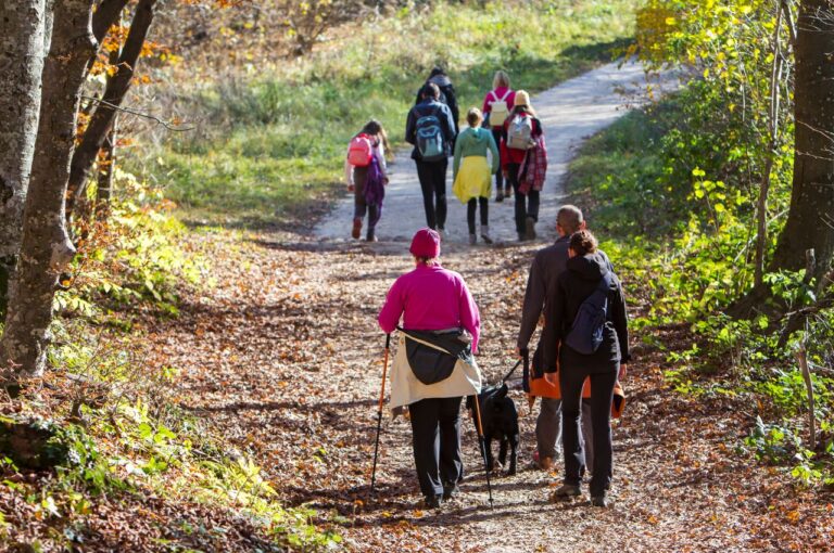 Best Hiking Trails Worldwide: Top Trails for Nature Lovers